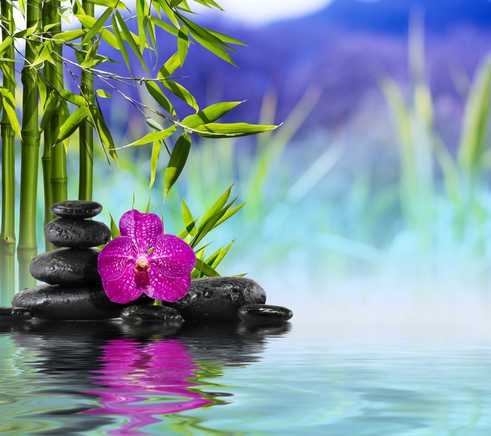 Bamboo, Orchid, Stones, and Water