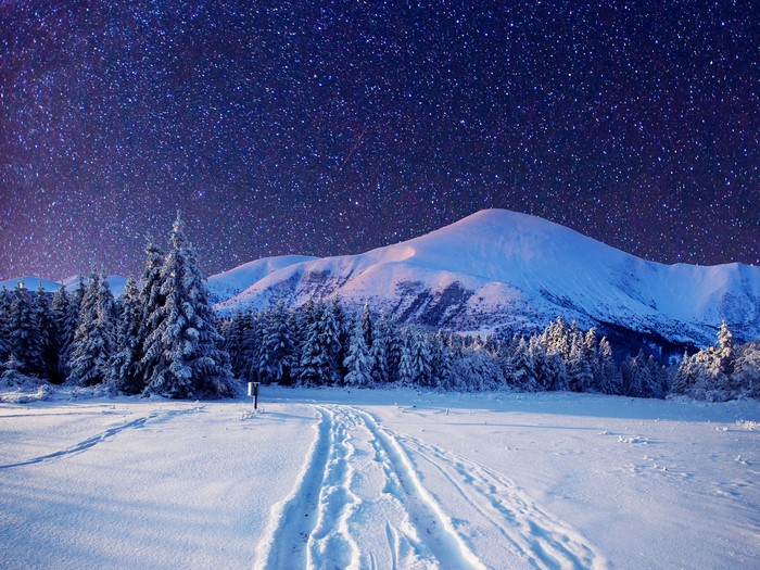 Winter Mountains and Forest Under a Starry Night Sky