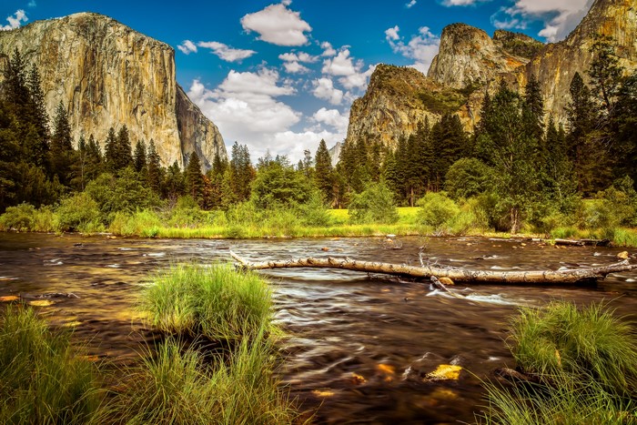 Yosemite National Park River with Mountains and Trees