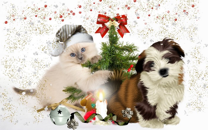 Cute Kitten and Puppy with Christmas Decorations