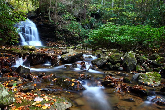 Waterfall in an autumn forest with stones and moss