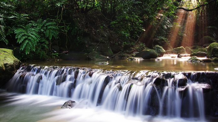 Waterfall in a lush forest with sunbeams