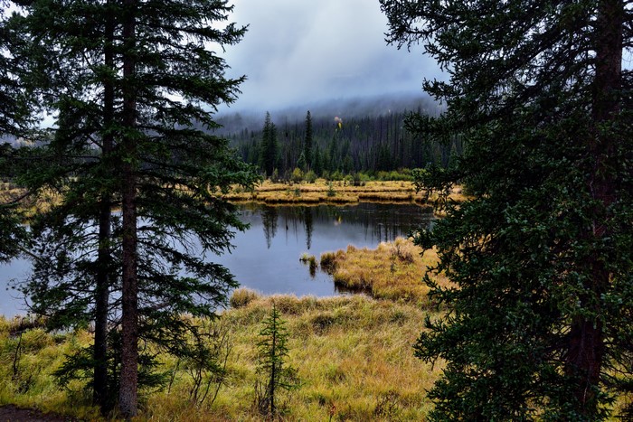 Rocky Mountain National Park Lake and Forest