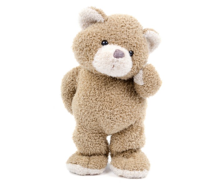 Teddy bear toy