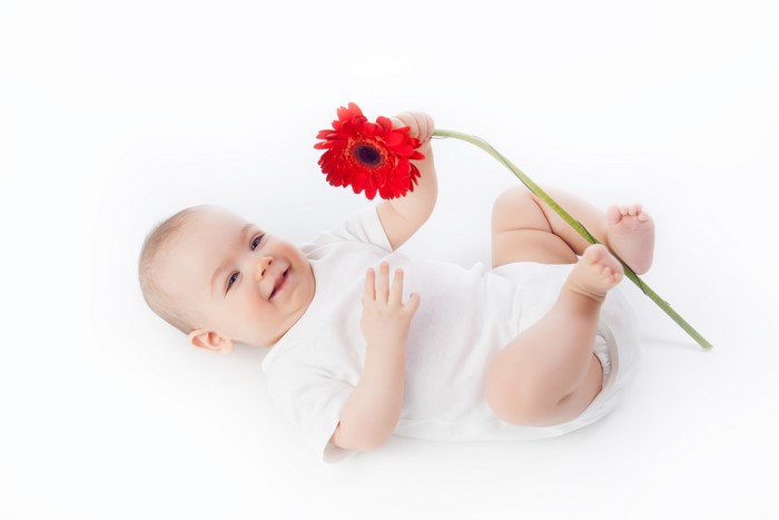 Baby holding a red gerbera daisy