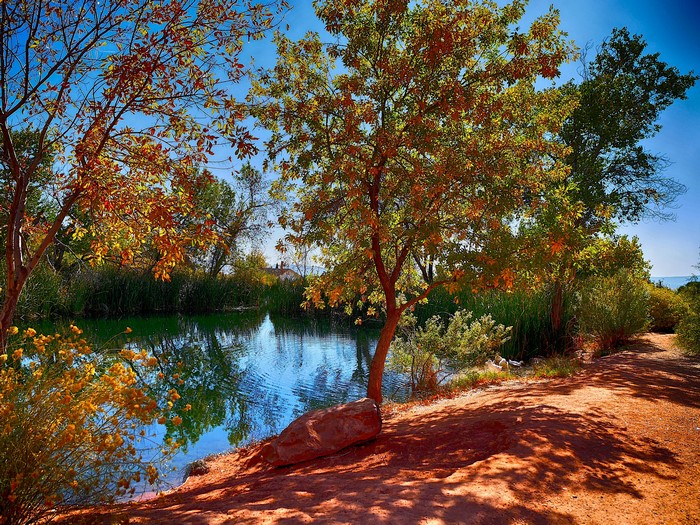 Autumn trees reflected in a pond with a dirt path
