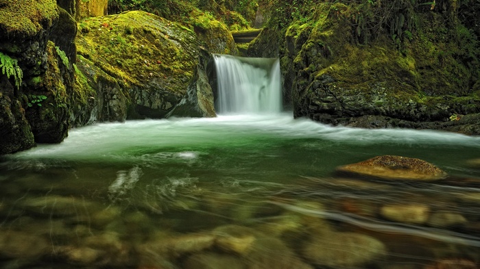 Waterfall cascading into a clear green pool in a mossy forest