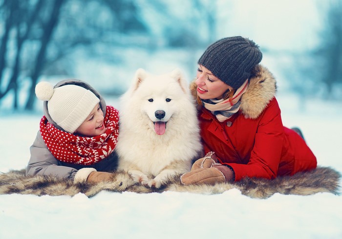Woman and child with Samoyed dog in snow