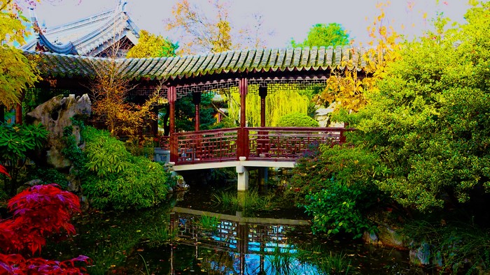 Chinese Garden Bridge Over Pond in Portland, Oregon