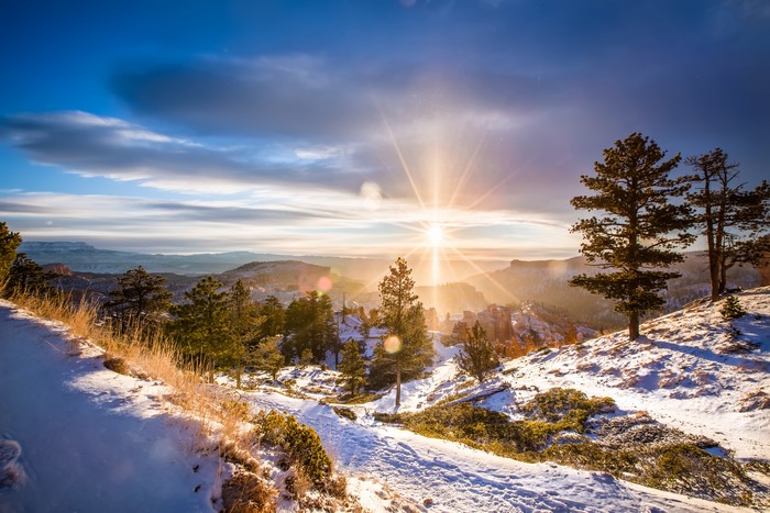 Winter Scenery with Sun Rays and Trees