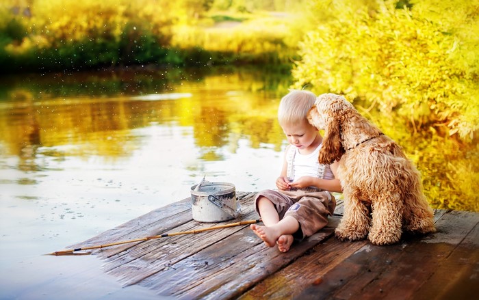Boy and dog fishing on a wooden dock