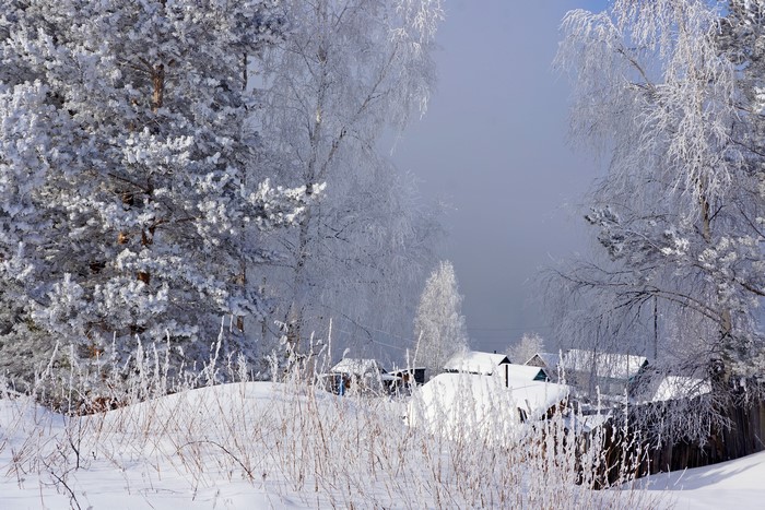 Winter scene with snow-covered trees and houses