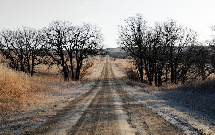Dirt road through a frosty landscape with bare trees