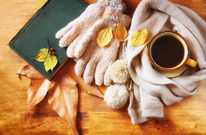 Autumn scene with coffee, book, and gloves