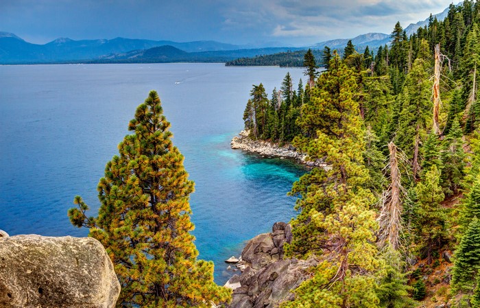 Lake Tahoe, California USA Forest Scenery