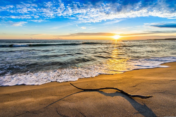 Beach at sunset with driftwood and waves