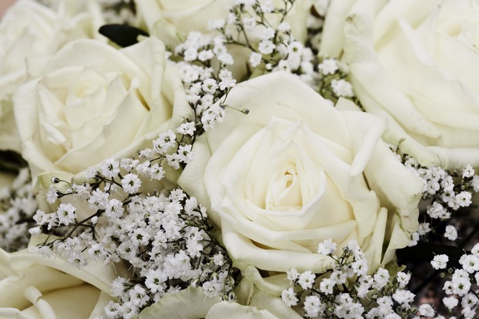White Roses and Baby's Breath Bouquet