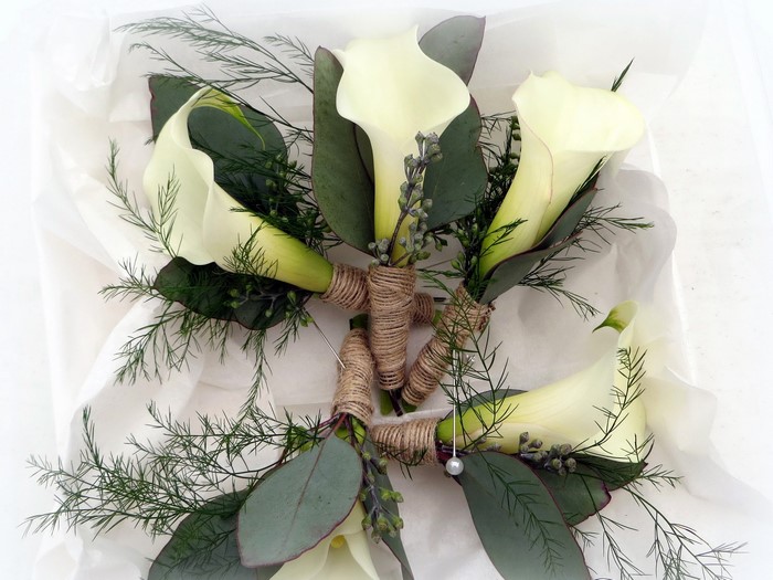 Four White Calla Lily Boutonnieres with Greenery