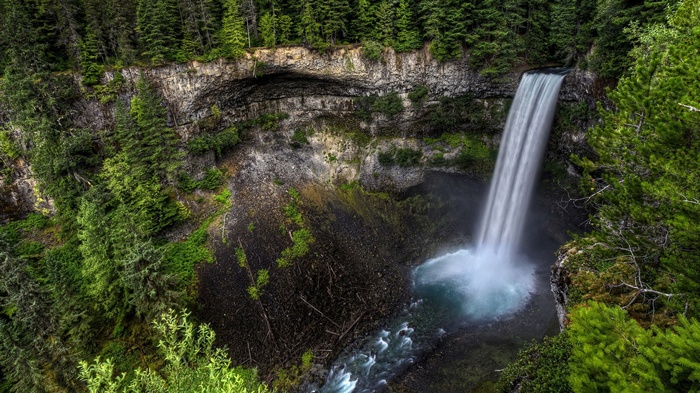 Waterfall cascading into a pool surrounded by forest