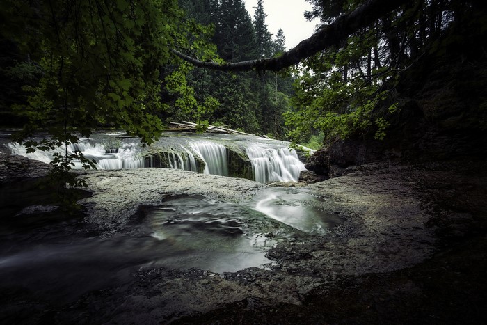 Lewis River Falls Waterfall in Washington Forest