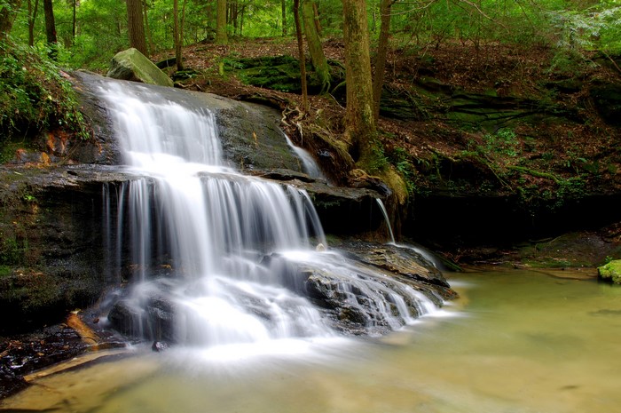 Waterfall cascading through a forest