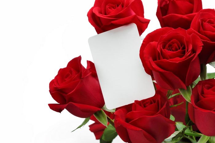 Red Roses with a Blank Card