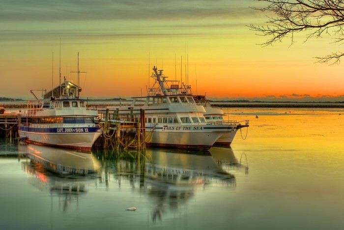 Boats docked at a marina during sunset