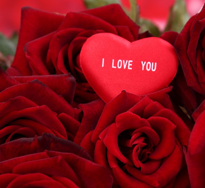 Red roses with a heart that says "I LOVE YOU"
