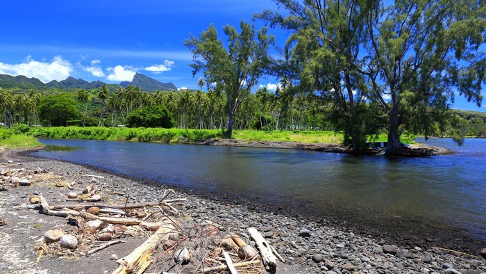 River flowing through a tropical landscape with mountains