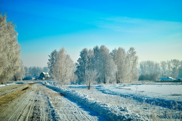Winter road with snow-covered trees and houses
