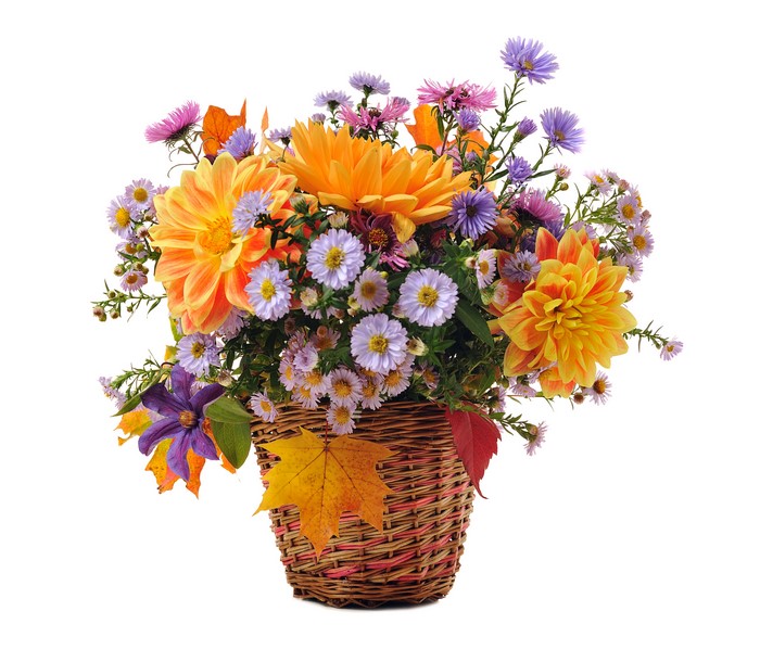 Bouquet of Dahlias and Chrysanthemums in a Wicker Basket