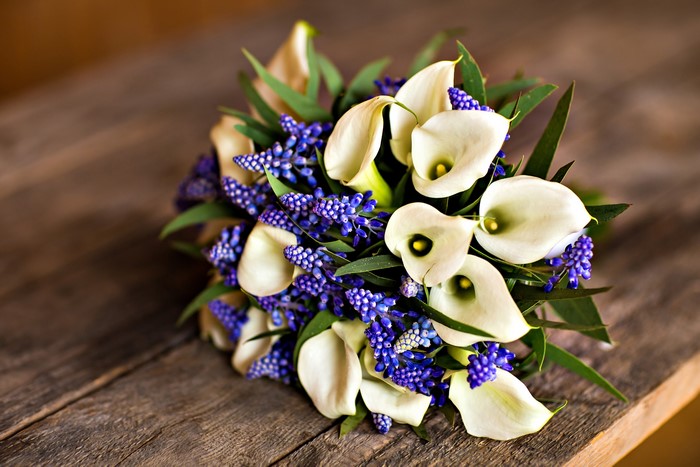 Bouquet of white calla lilies and blue muscari flowers