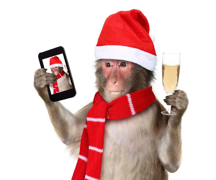 Monkey in Santa hat taking a selfie with champagne