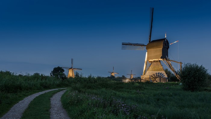 Windmills in the Netherlands at Dusk