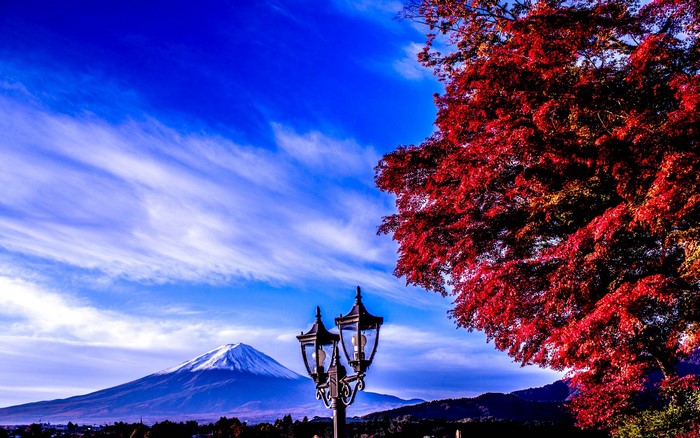 Mount Fuji with Autumn Tree and Street Lamp