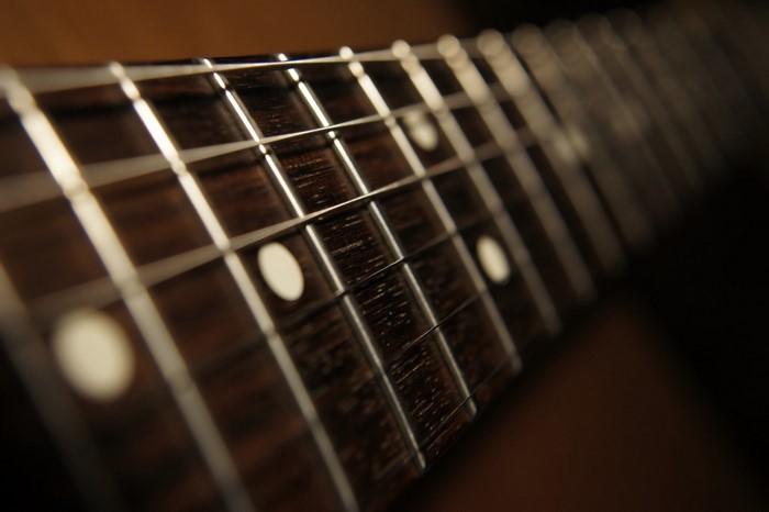 Closeup of a Guitar Fretboard