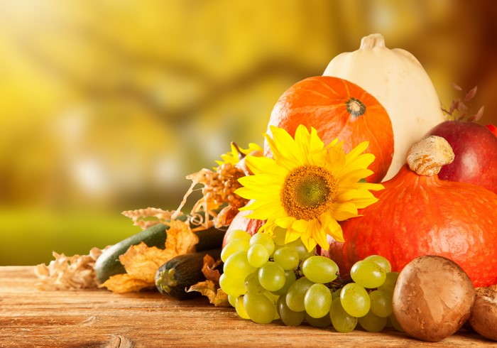 Autumn Harvest: Pumpkins, Grapes, Sunflower, and Vegetables