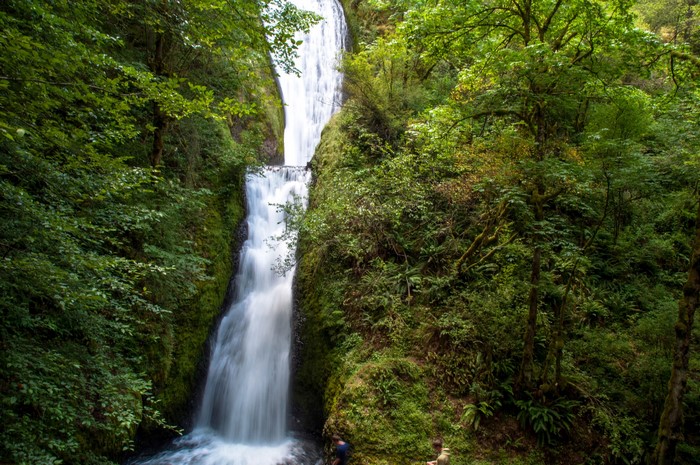 Bridal Veil Falls in Oregon Forest