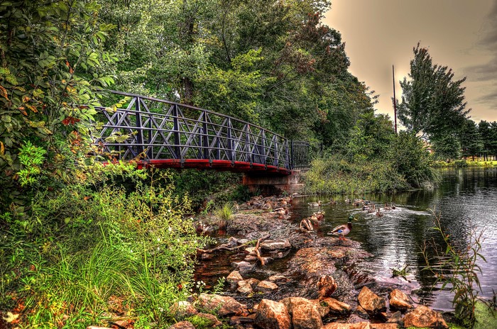 Bridge over a pond with ducks and stones