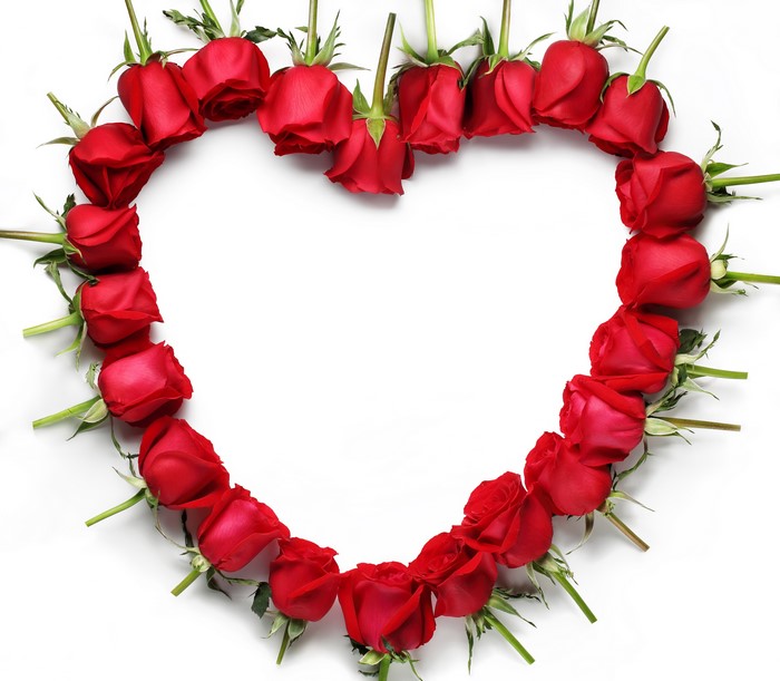 Red Roses in a Heart Shape