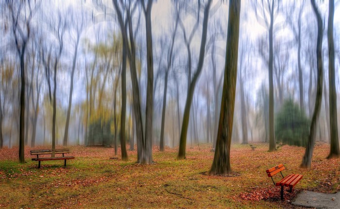 Park with trees and benches in autumn
