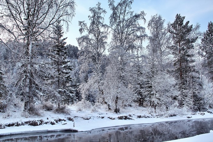 Winter forest with snow-covered trees and a river