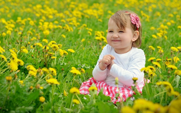 Little girl sitting in a field of dandelions