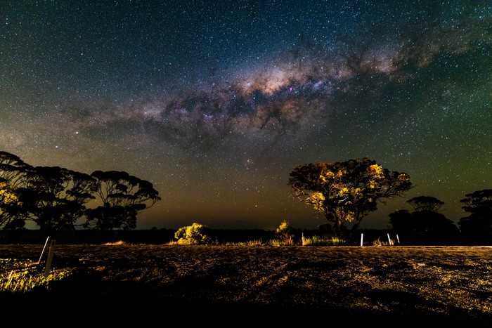 Milky Way over trees at night