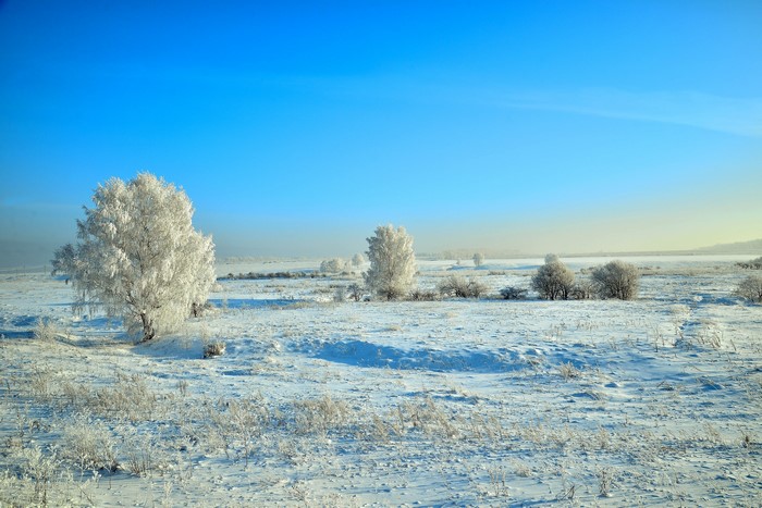 Winter landscape with snow-covered trees under a blue sky