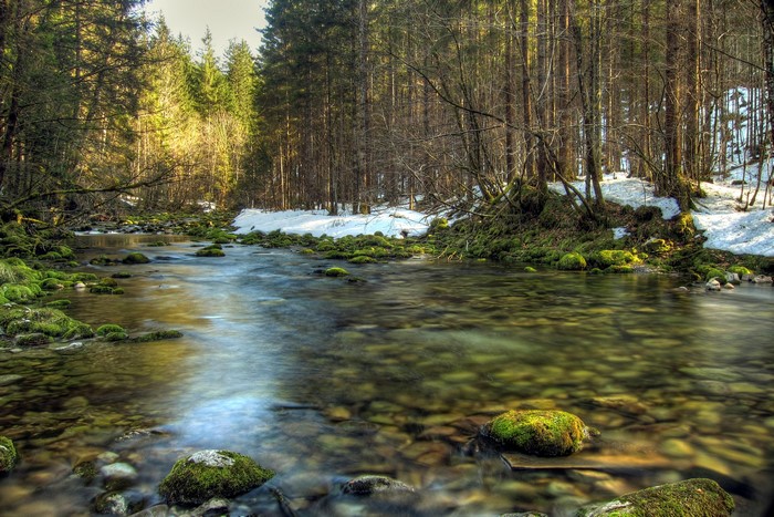 River flowing through a mossy forest with snow patches