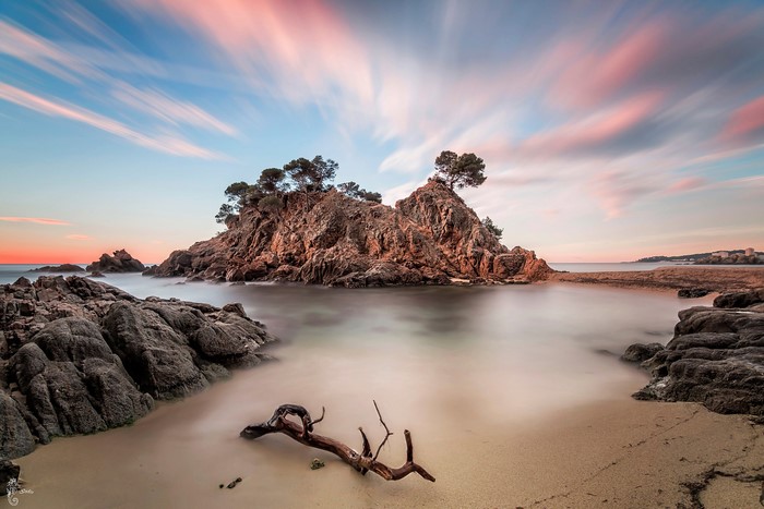 Rocky island with trees in the sea at sunset