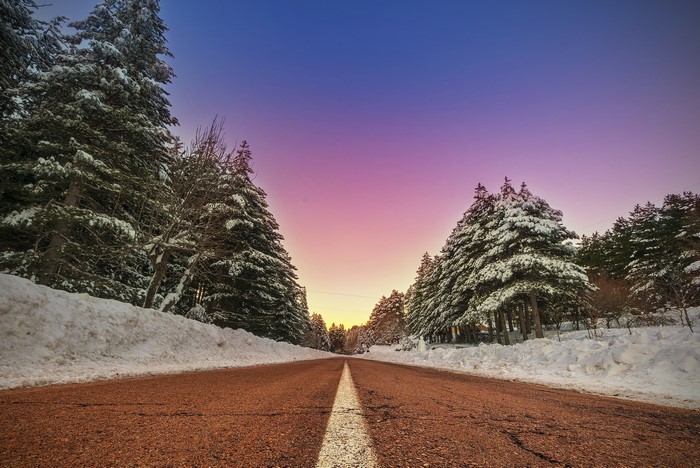 Snowy road through a forest at sunset