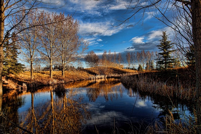 Autumn trees reflected in a lake under a cloudy sky
