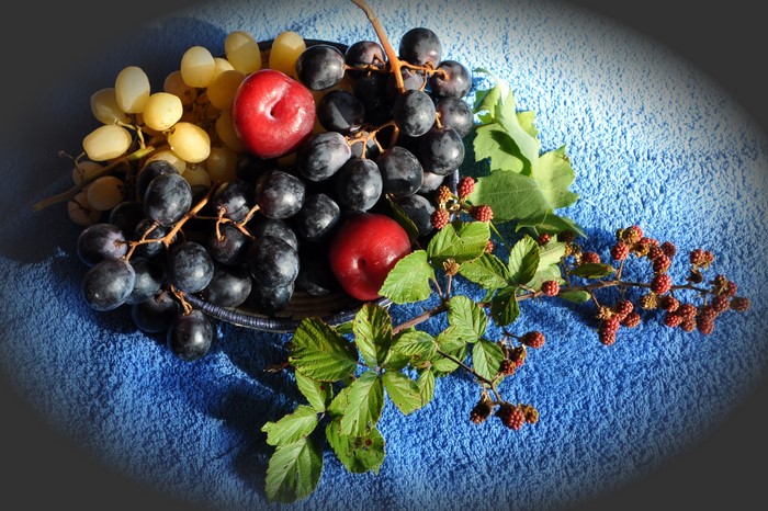 Grapes, Plums, and Blackberries on a Blue Towel